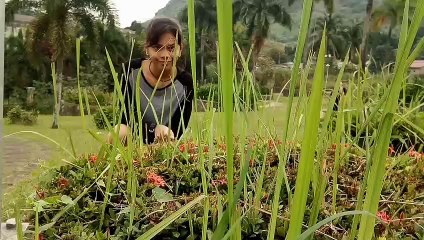 MY F.R.I.E.N.D.S | S.H.S CLASSMATE