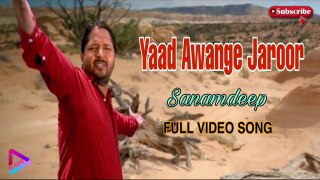 Yaad Awange Jaroor Ni | Sanamdeep | FULL VIDEO SONG HD | PUNJABI SUPERHIT SAD SONG | S M AUDIO CHANNEL