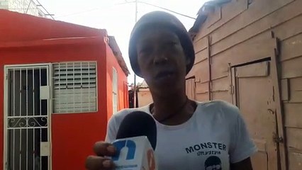 Una plaga de chinchas invade Los Guandules