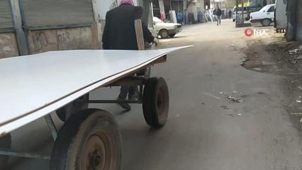 Asırlık çınarlar 15 yıldır at arabası çekiyor