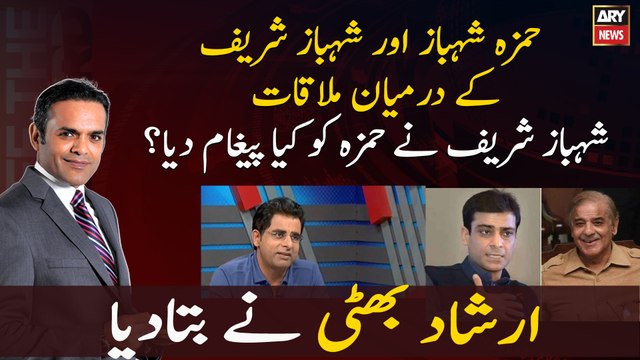Meeting between Hamza Shahbaz and Shahbaz Sharif What message did Shahbaz Sharif give to Hamza?