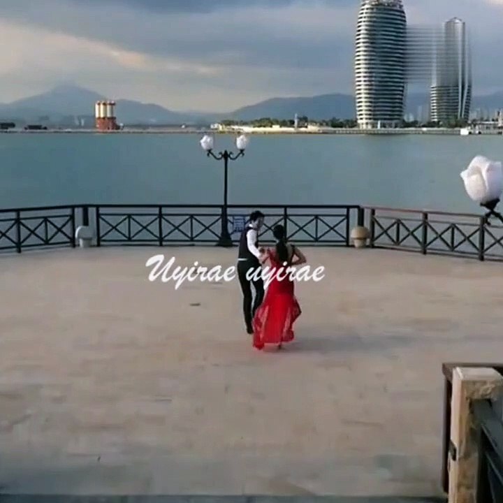 Tamil WhatsApp Status || Nilal tharum aval paarvai || 3 movie songs