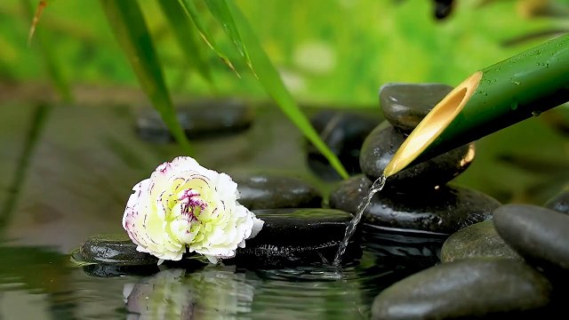Bamboo Water Fountain + Tibetan Bowls | White Noise For Sleep, Studying, Meditation, Yoga
