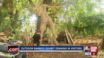 University Of Tampa Art Professor Creates Bamboo Sculptures In Tampa Front Yard