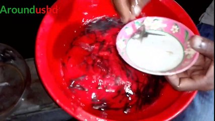 Famous Local Fish Market Noya Bazar