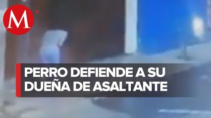 Intentan asaltar a joven en Tlalpan, su perro la defendió del agresor