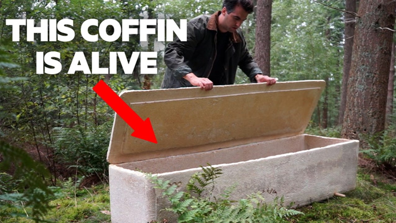 These eco-friendly coffins made of fungi are making death less toxic