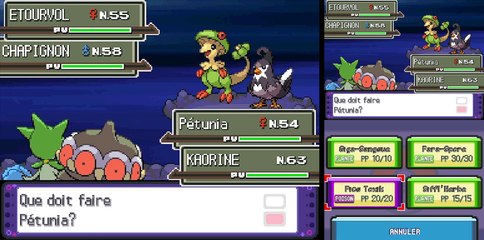 Pokémon Pt: Max% [42] Coup Critique Critique