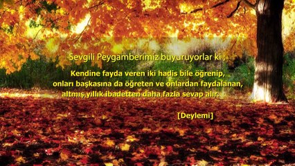 HUZURA DOGRU 20210331