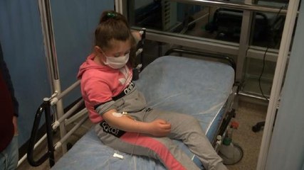 Kırıkkale'de başıboş gezen pitpul, 8 yaşındaki çocuğa saldırdı