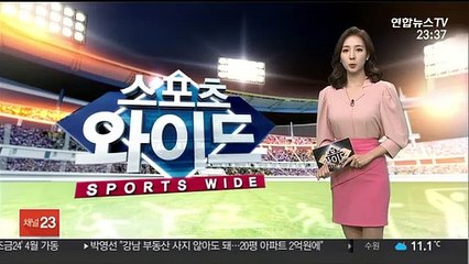 강수일, K리그2 안산 입단…6년 만에 국내 복귀