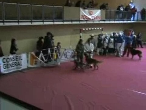 Eurocopter 17FEV08 Défilé 2ème vidéo