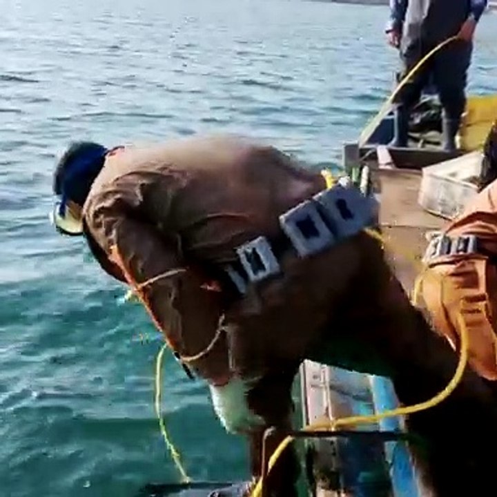 explore sea fishing.  adventurous, very interesting