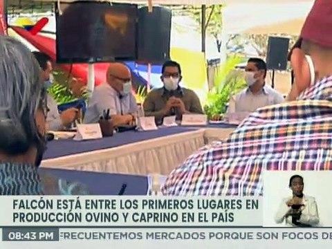En Falcón elevan propuestas ante la AN para fortalecer producción ovina y caprina en el país