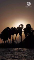 khawind ki pasandida biwi  | peer zulfiqar ahmad naqshbandi db