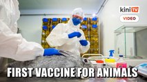 Russia registers world's first Covid-19 vaccine for animals