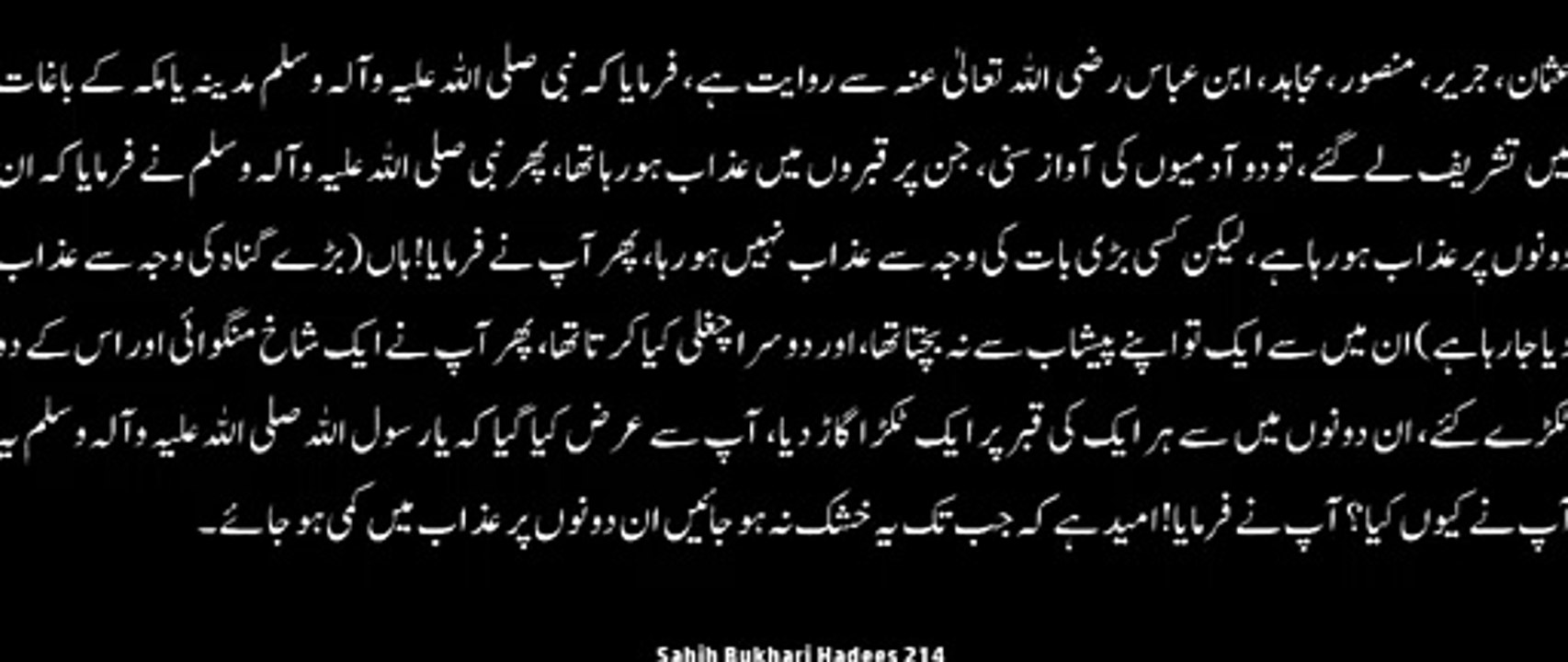 Watch *Hadith 214 Sahih Bukhari*