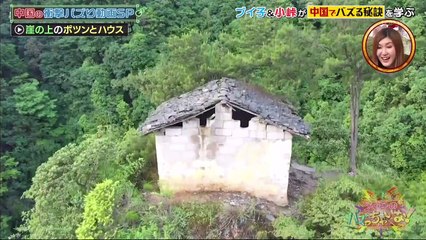 Youtube バラエティ - ブイ子のバズっちゃいな 動画　9tsu  2021年04月1日