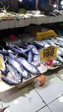 DISPLAYING FRESH FISHES ON THE TABLE PLACE