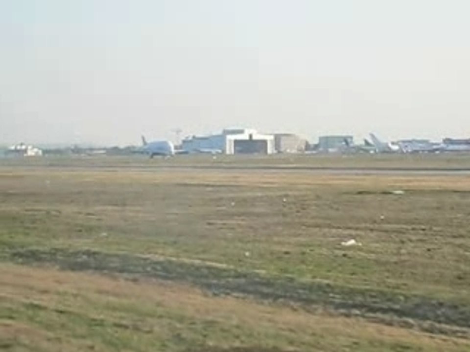 Beluga