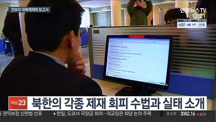 "북한 핵·미사일 고도화 지속…가상화폐 탈취에 무기 밀수도"