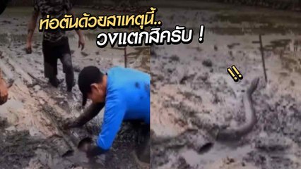 คนงานลอกท่อ เอะใจอะไรติดอยู่ ดึงออกมาเท่านั้นแหละ วงแตก !!!