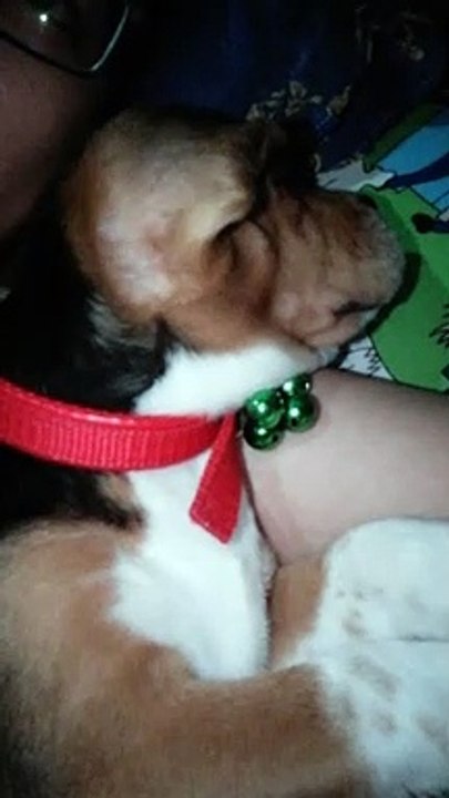 Lilo