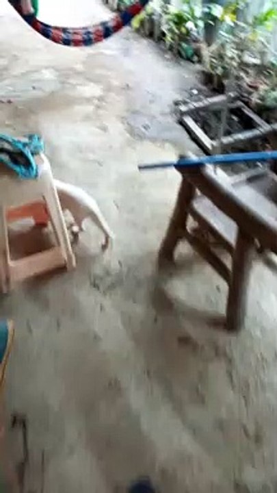ganda ng pusa