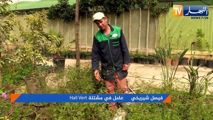 نبتة الياسمين وكيفية العناية بها ..