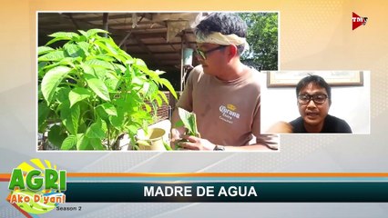 “MADRE DE AGUA” Ep.14 AGRI Ako D’yan