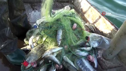 Van Gölü'nden inci kefali bereketi