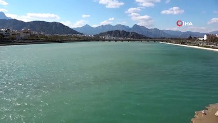 Nesli tükenmekte olan Akdeniz fokları, Boğaçayı’nı mesken tuttu