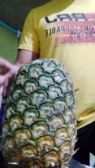 pinya