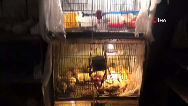 Kızının sağlığı için başladı, şimdi başka çocuklara şifa olsun diye üretiyor