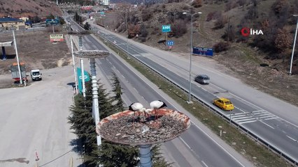 'Leylek apartmanı' sakinlerine kavuştu