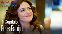 Eres estúpida - Estado Civil Complicado Capítulo 1