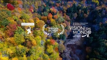 IL SENSO DELLA BELLEZZA - TRAILER