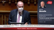 Hervé Marseille lors du débat sur la situation sanitaire au Sénat