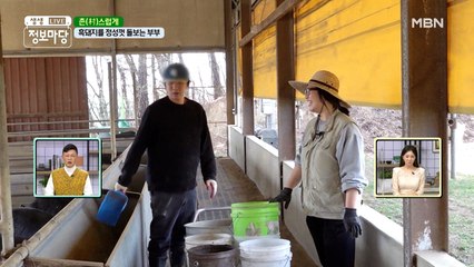 ♥흑돼지♥를 정성껏 돌보는 부부