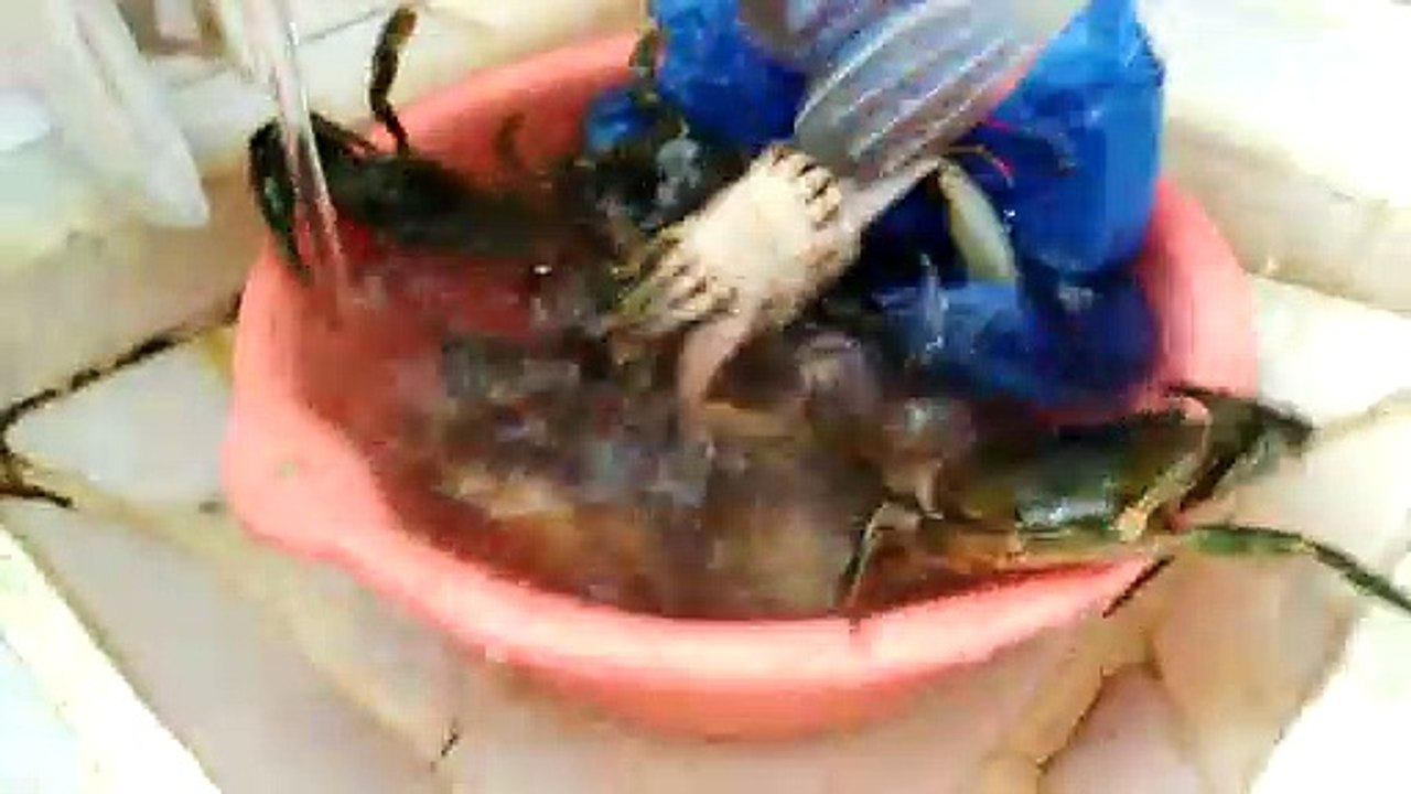 crab mentality?? 