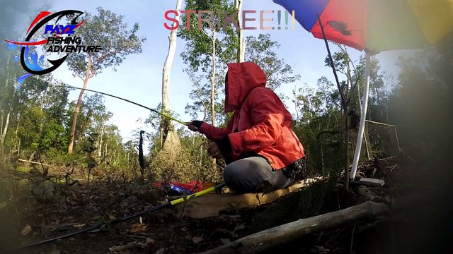 Menyerbu Sarang Ikan Kihung_Forest Snakehead Casting Gabus Bersama Istri Ep #22 I Part 1 -2