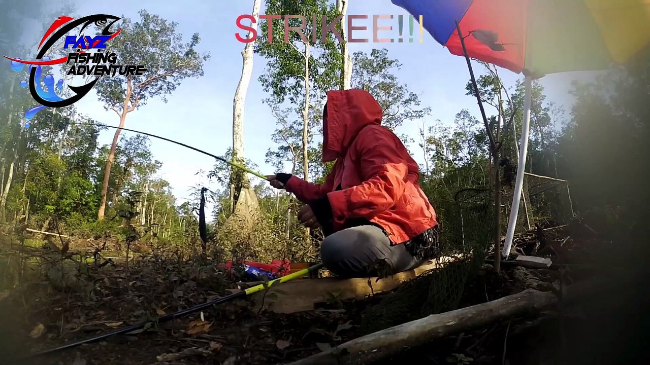 Menyerbu Sarang Ikan Kihung_Forest Snakehead Casting Gabus Bersama Istri Ep #22 I Part 1 -2