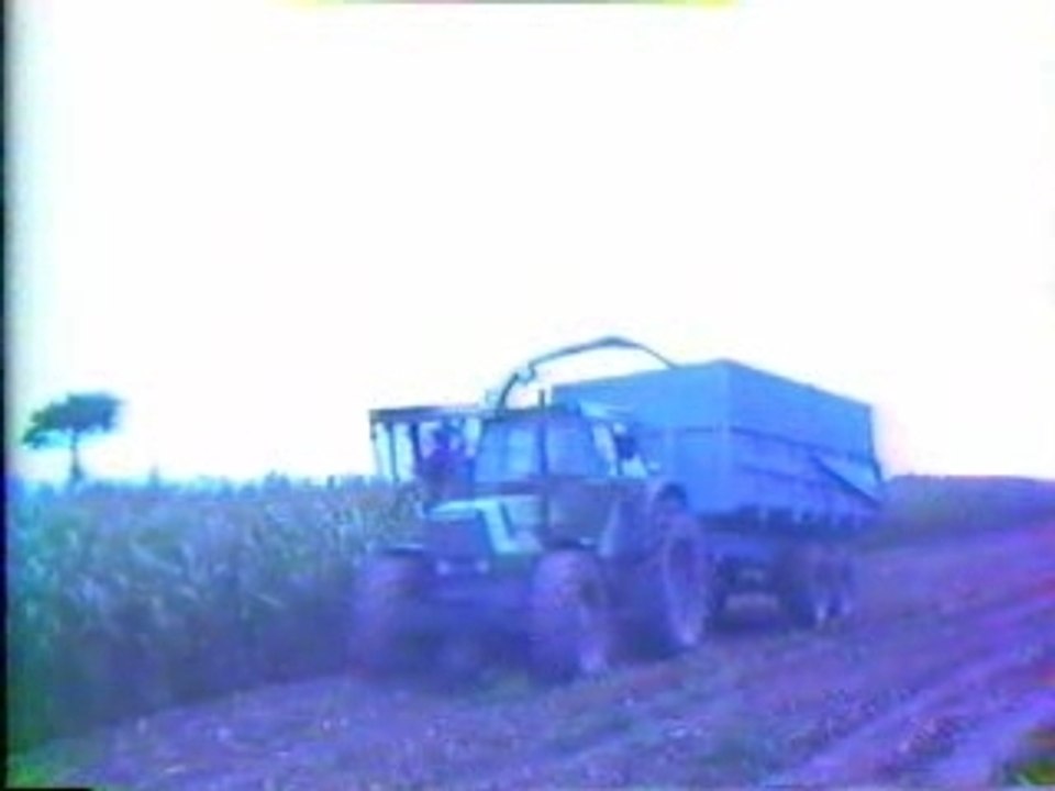 Ensilage 1984