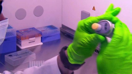 Pourquoi l'ivermectine n'est pas un remède miracle contre le Covid-19