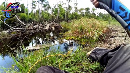 Mancing Ikan Dengan Umpan Ulat Bambu Hasilnya Joss Dapat Banyak Ikan Ukuran Jumbo Ep#23 Part 2-3