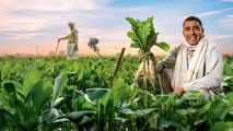 Good news: Udhampur's crop productivity enhanced