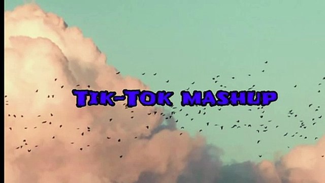 Tik-Tok Mashup 2019 (Not Clean)
