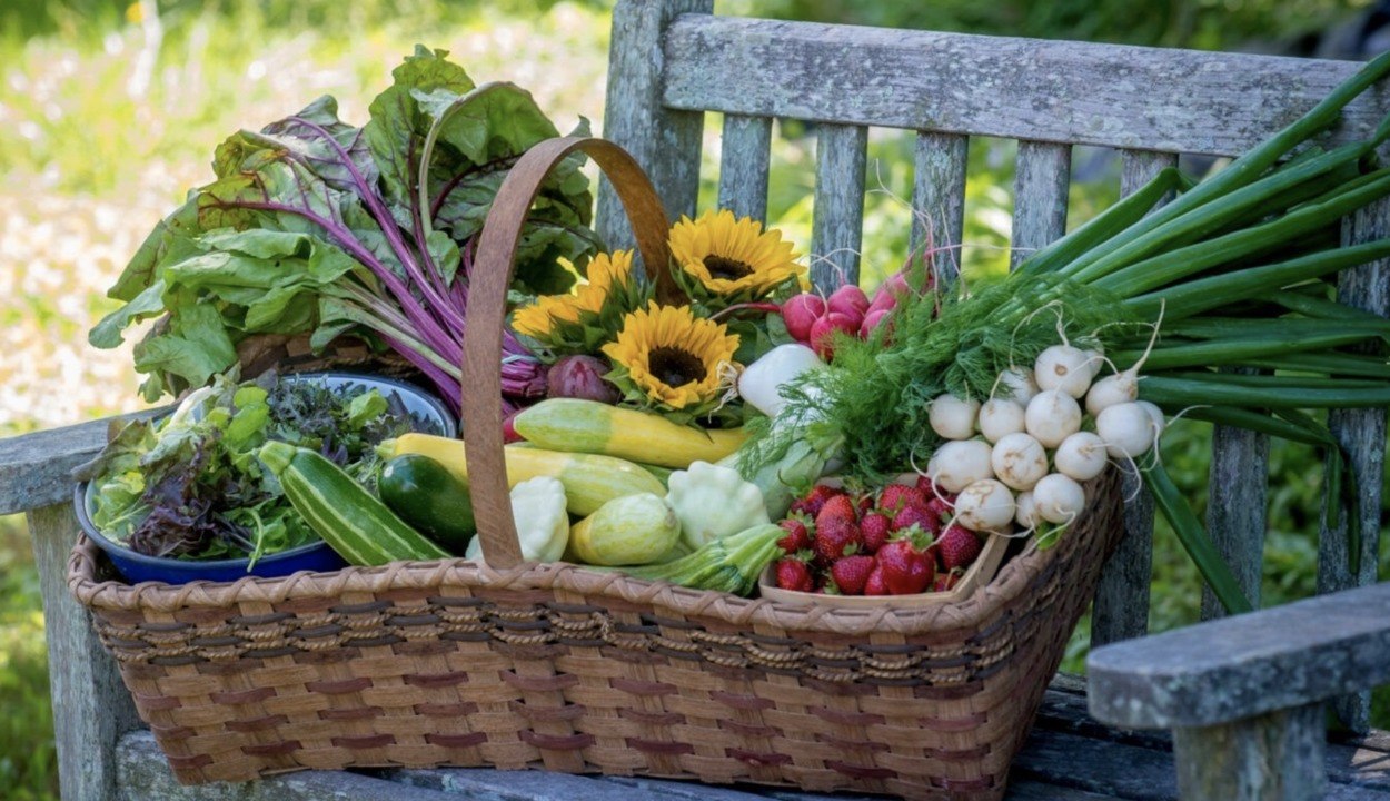 Reasons Why You Should Grow an Organic Garden