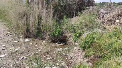 Datça'da kirlenen Azmak Deresi kötü görüntü oluşturuyor