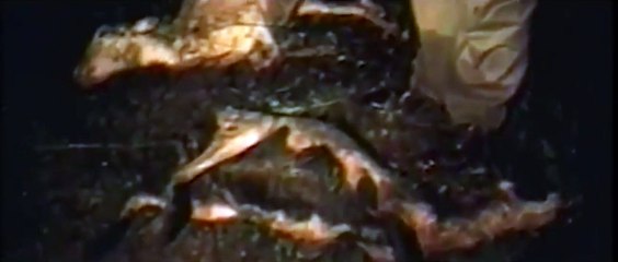 El Chupacabras I Blumhouse Official Trailer